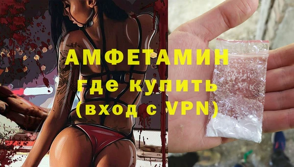 индика Арсеньев