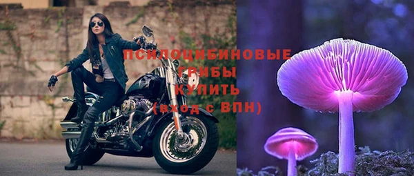jwh Алзамай