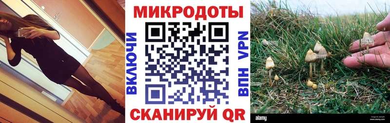 Галлюциногенные грибы GOLDEN TEACHER Крым