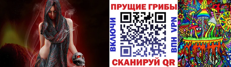 кракен ONION  Крым  Псилоцибиновые грибы ЛСД 